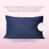imageClean Sleep Silver Ion Pillowcase Hypoallergenic Pillowcase for BlemishProne ampamp Sensitive Skin Silver Ion Infused PlantBased Fabric Standard Size 1 Pillow Cover Blue